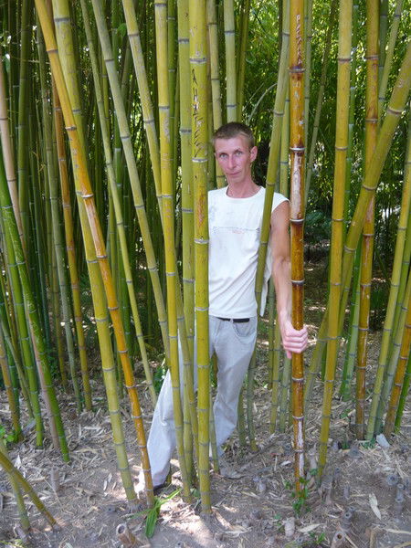 Александр Архипов