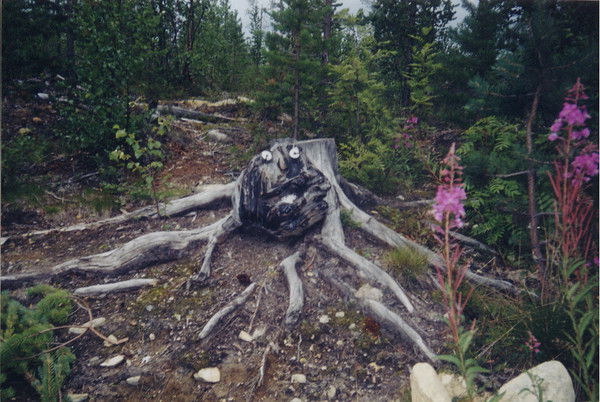 Татьяна Порфирьева