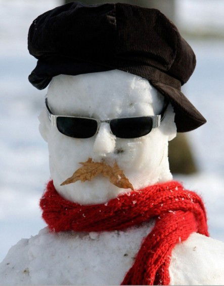 Александр Ботраков