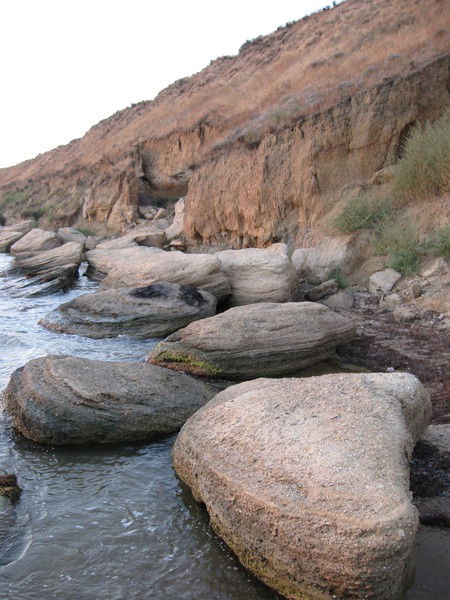 Ольга Николаевна