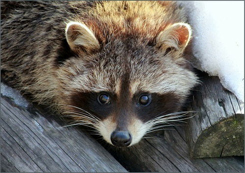 Евгения Александровна