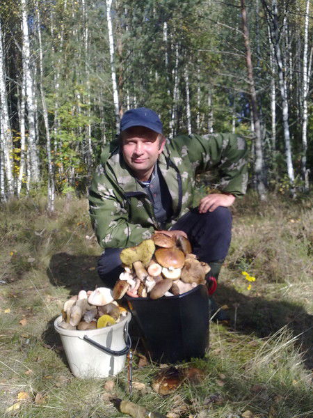 Сергей Лисун