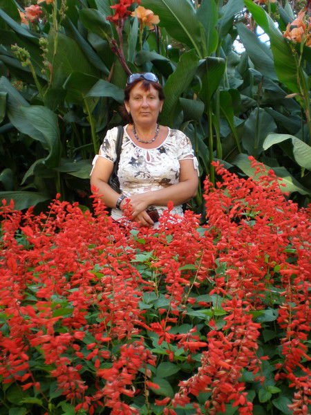 Инна Рыжова (Осипова)