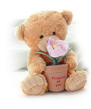 Алма**** Багитова