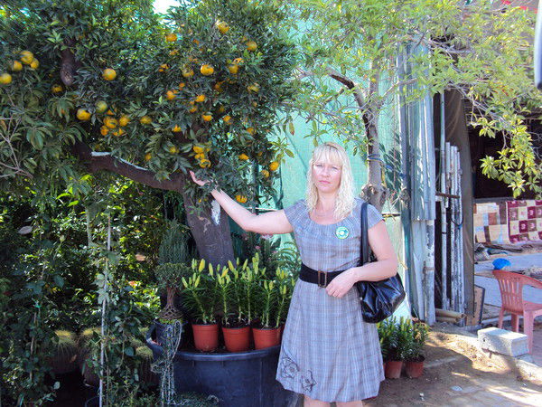 Неизвестно Неизвестно