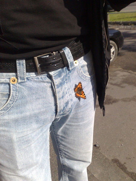 Волков Тимофей