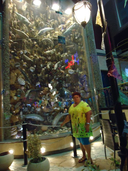 Наталья Ильина