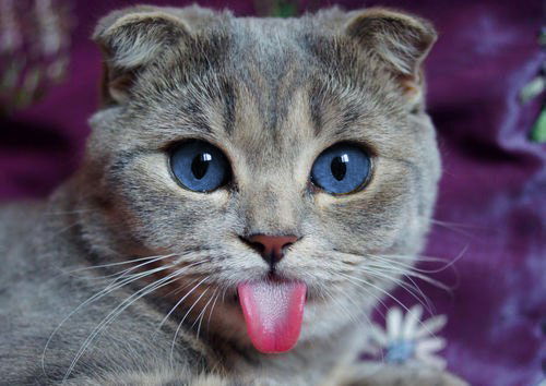 ==>Андрюха<= =