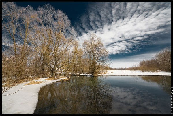 Виктор Литвинов