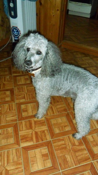 Ольга Ткачёва