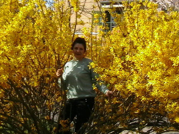 Тамила Корнийчук