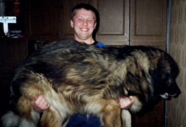 Артур Невидимка