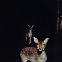 ***кристюша ***