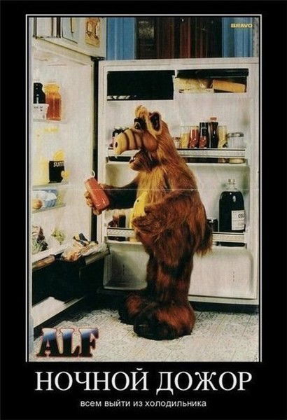 Ростислав Пучков