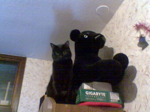 Катерина Кубашевская