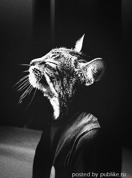 Женя Сиренко