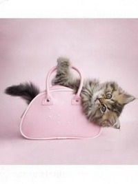 Юлькина Юлькина