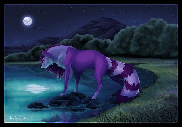 *милая Vолчица*