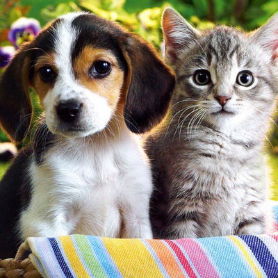 Екатерина Савина