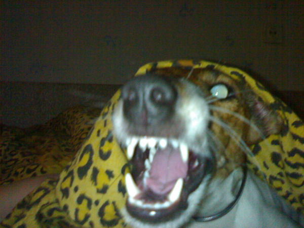 Viкtor Dавыдоff