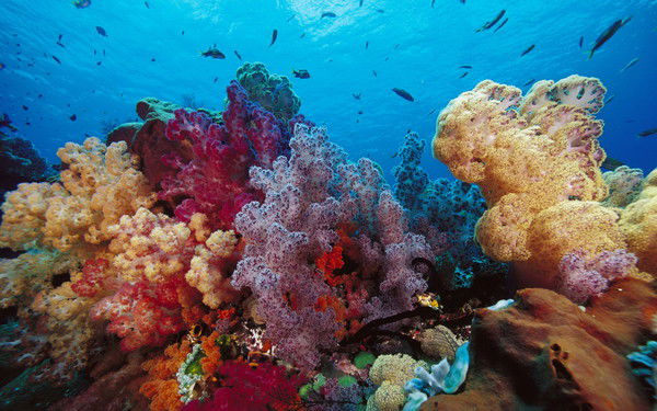 Валентина Сентябрева