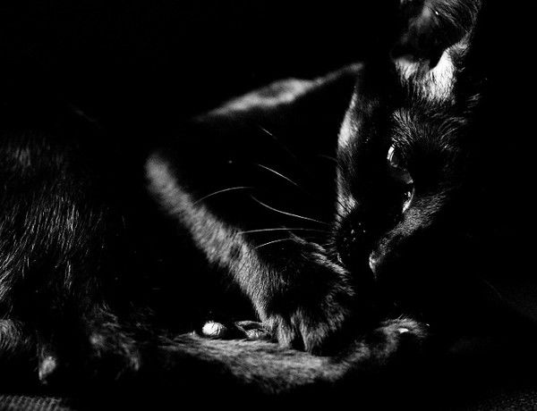 Анастасия Фролова