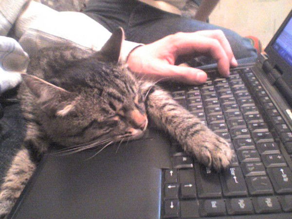 Евгений Дерягин