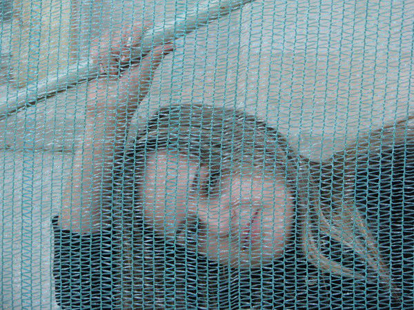 Оксана Гейдт