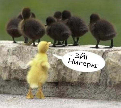 Гульжахан Жахина