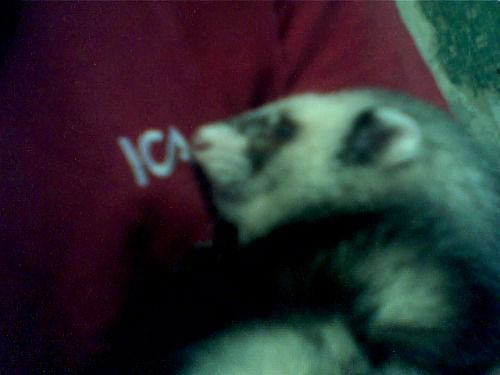 Виталий Шмельков