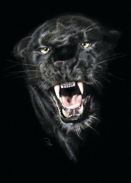 Сергей Кразман