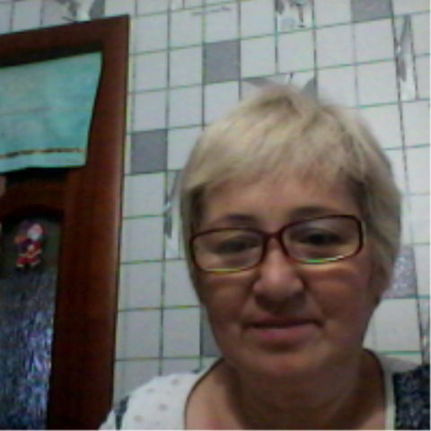 Людмила Чечнева (Ли)