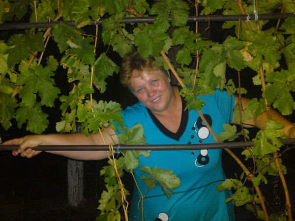 Раиса Ивкина