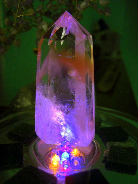 Елена Майская