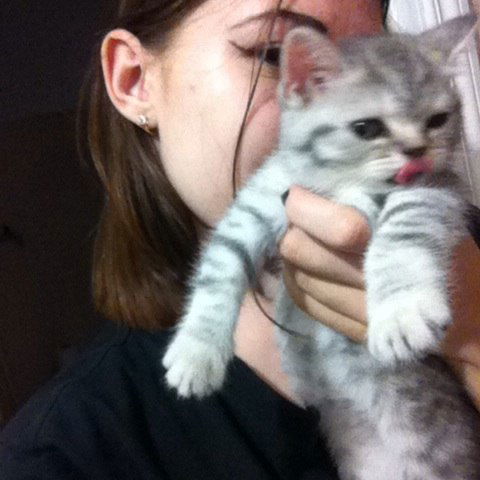 Соня Золотухина