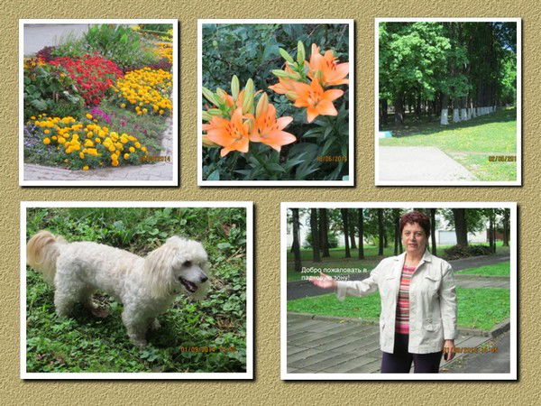 татьяна ляпушкина