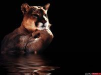 Алиса Селезнева