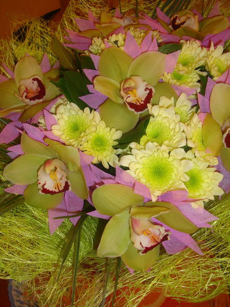 Любовь Бондаева