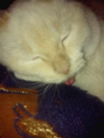 Валентина Березовская-Вишневская