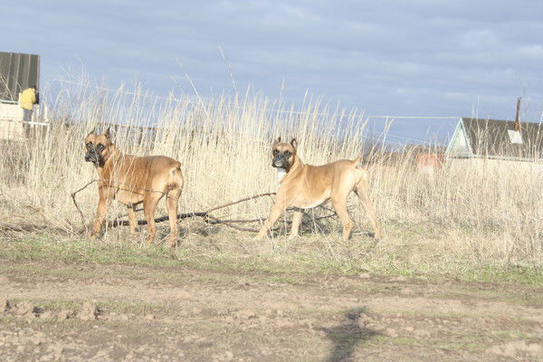 Катерина Голуб