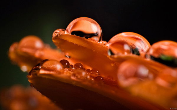 Татьяна Максимчук