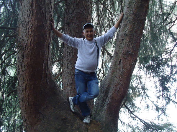 Асан Амраев