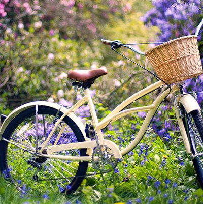 Елена Беспалова