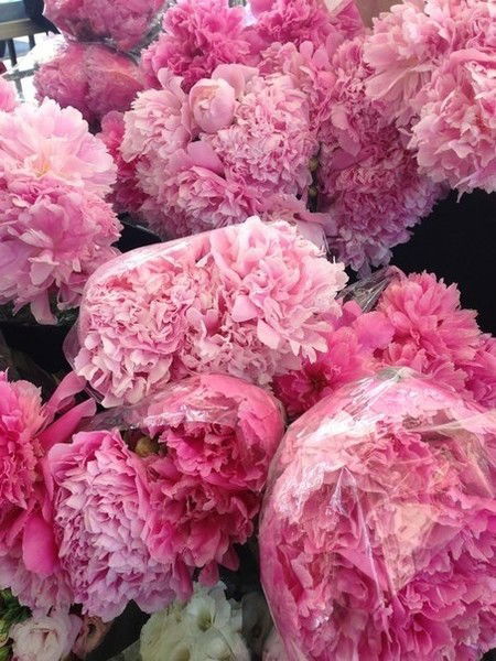 Маша Григорьева