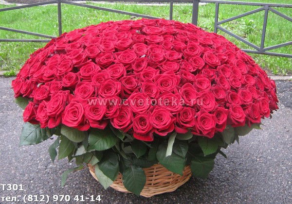 Гульнара Туйтенова