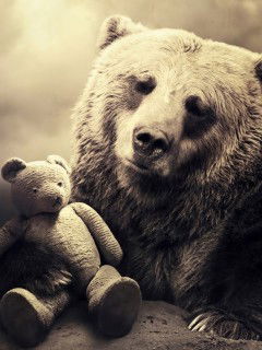 Влада Горжая