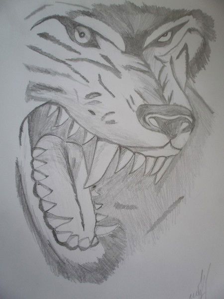 Егор Широков