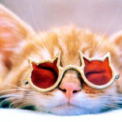 Александра Никульшина