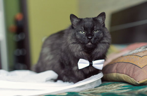 Фурутина Татьяна