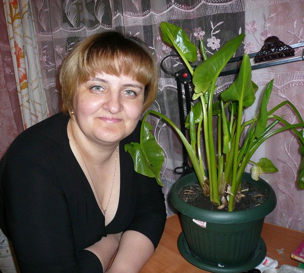 Елена Волчек